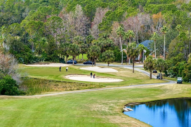 10106 Radcliffe Dr, Tampa, FL 33626 - view of home's community featuring golf course view, a water view, and a lawn