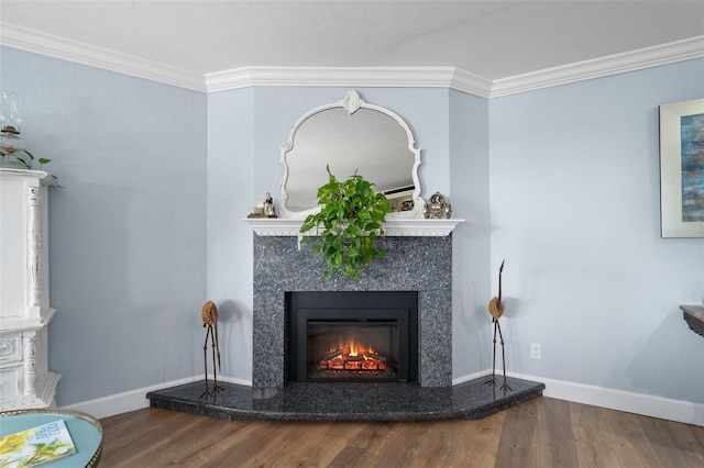 details featuring a premium fireplace, crown molding, and hardwood / wood-style flooring