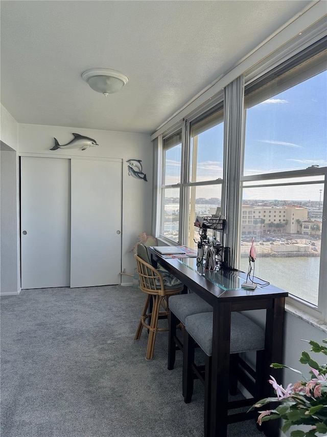 dining room featuring carpet flooring and a water view