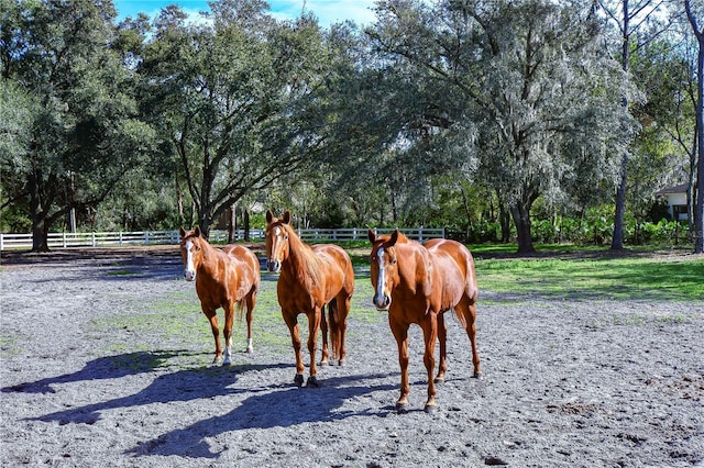 view of horse barn