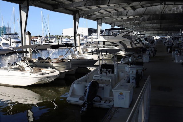 dock area with a water view