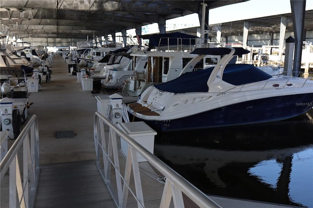 dock area with a water view