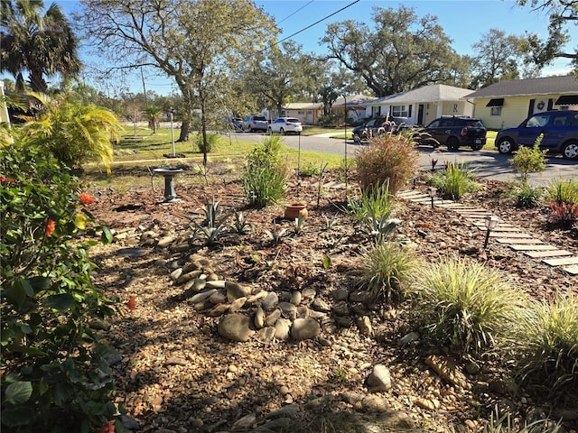 view of yard featuring driveway