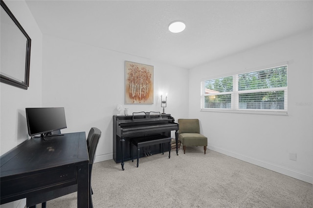 5901 1st St NE, Saint Petersburg, FL 33703 - photo 23