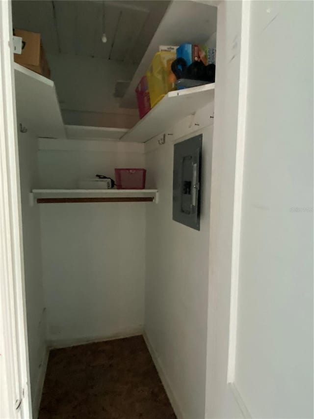 spacious closet featuring electric panel