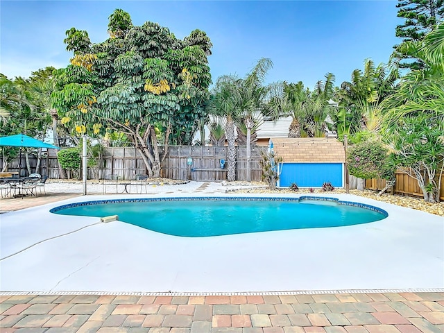 view of pool with a patio