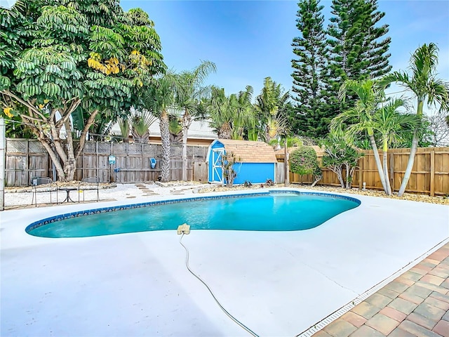 view of swimming pool featuring a storage shed