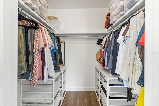 view of walk in closet