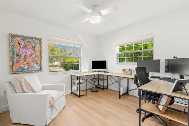 office area with ceiling fan and light wood-type flooring