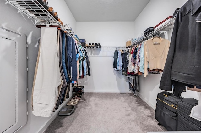 spacious closet with carpet