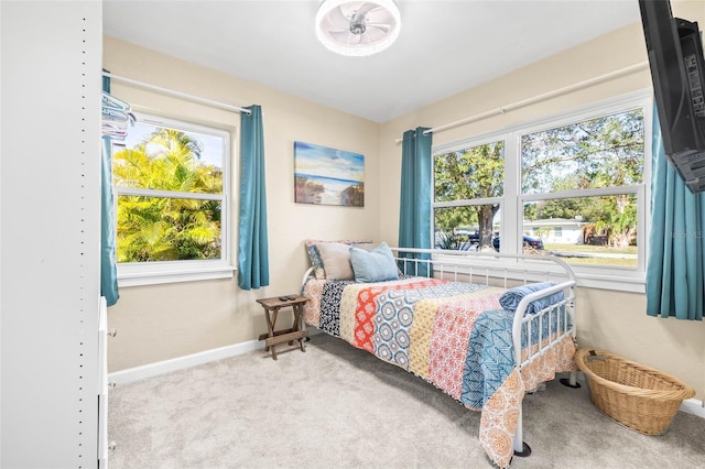 carpeted bedroom with multiple windows