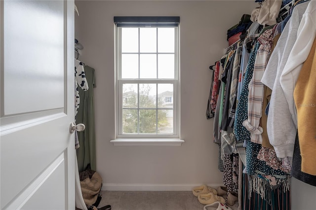 walk in closet featuring carpet