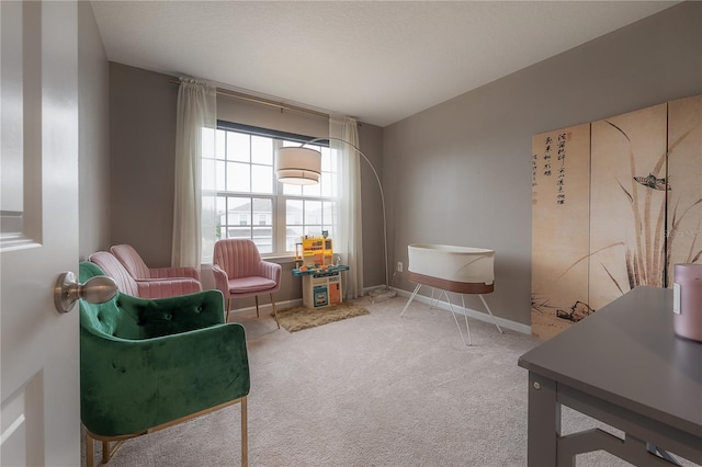 sitting room with carpet floors