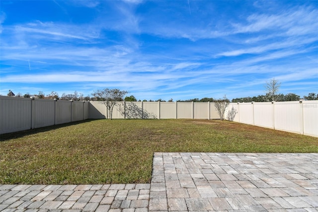 view of yard featuring a patio area