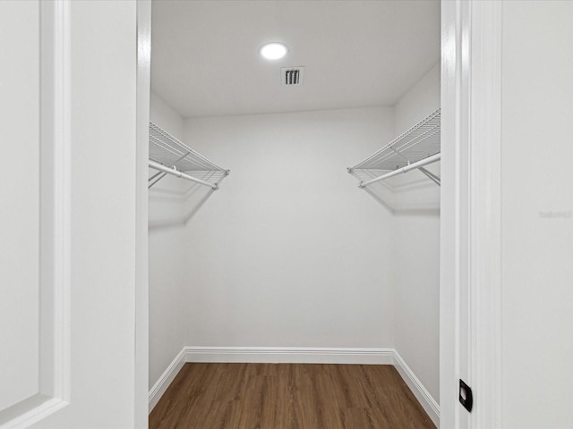 walk in closet featuring dark hardwood / wood-style floors