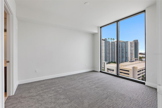 carpeted empty room with expansive windows and a healthy amount of sunlight