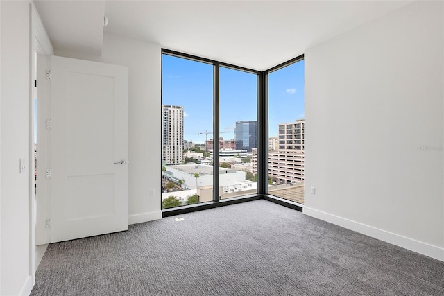 unfurnished room featuring expansive windows, a healthy amount of sunlight, and carpet floors