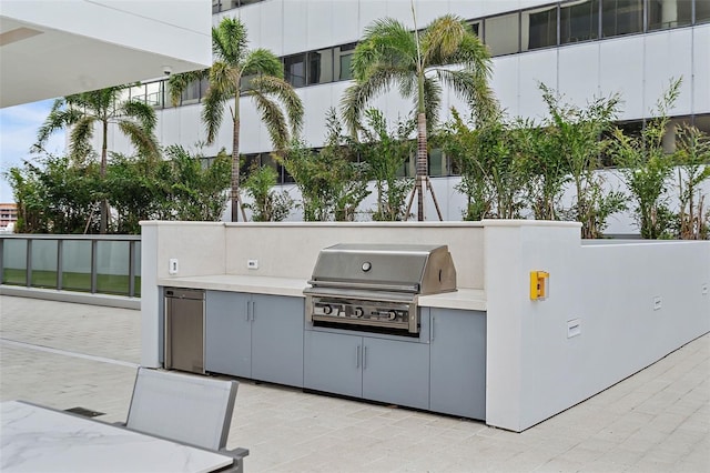 view of patio / terrace with area for grilling and grilling area