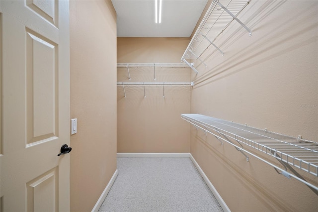 walk in closet with carpet floors