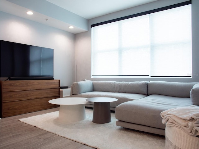 living room featuring recessed lighting and wood finished floors