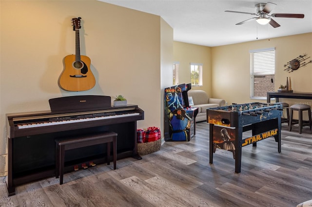 rec room featuring ceiling fan and wood-type flooring