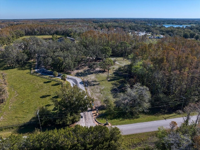 18409 Tyler Rd, Odessa, FL 33556 - photo 56