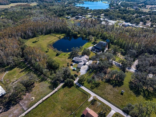 18409 Tyler Rd, Odessa, FL 33556 - photo 58