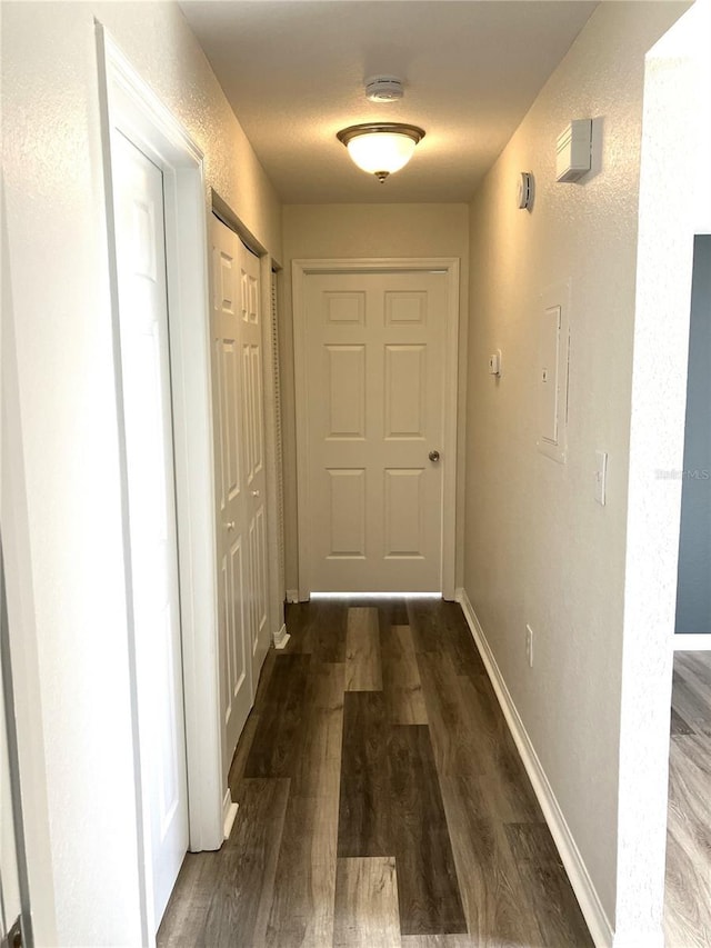 hallway with electric panel and dark wood-type flooring