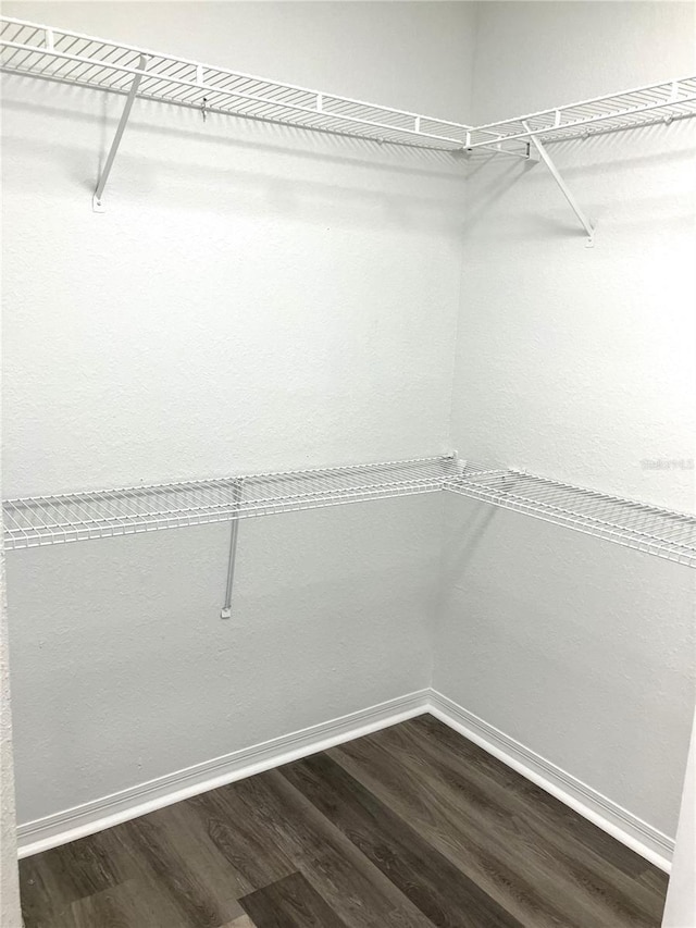 walk in closet with dark wood-type flooring