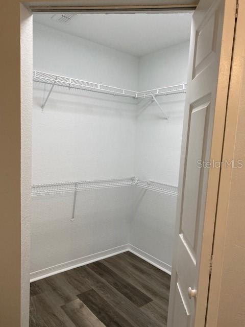 walk in closet with dark hardwood / wood-style flooring