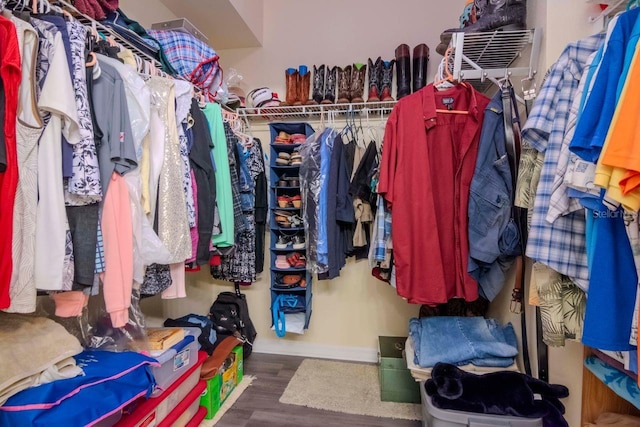 spacious closet featuring wood-type flooring