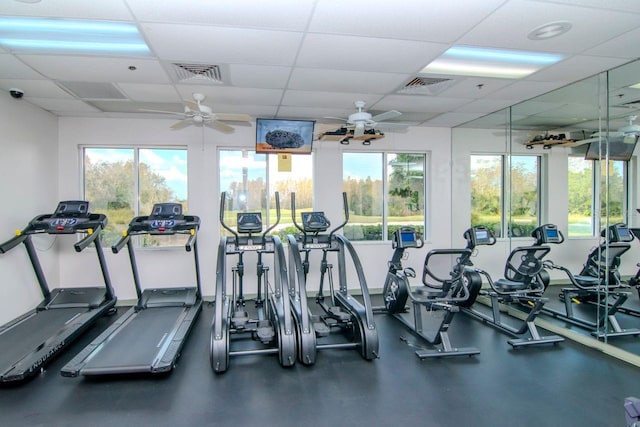 workout area featuring a paneled ceiling, ceiling fan, and a wealth of natural light