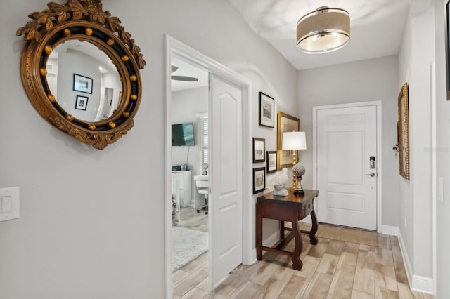 entrance foyer with light hardwood / wood-style flooring