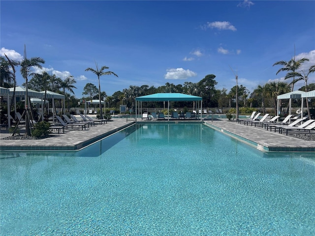 view of pool featuring a patio