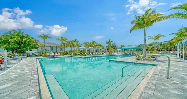 view of pool featuring a patio