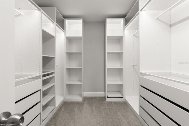 walk in closet with light colored carpet