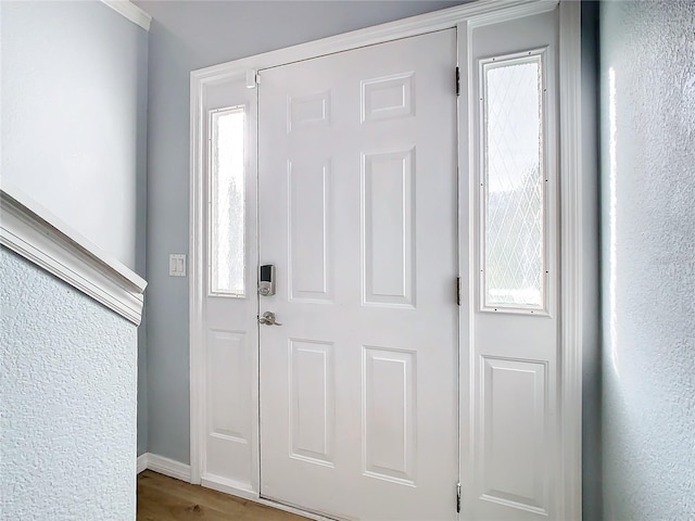 entrance foyer with plenty of natural light and hardwood / wood-style floors