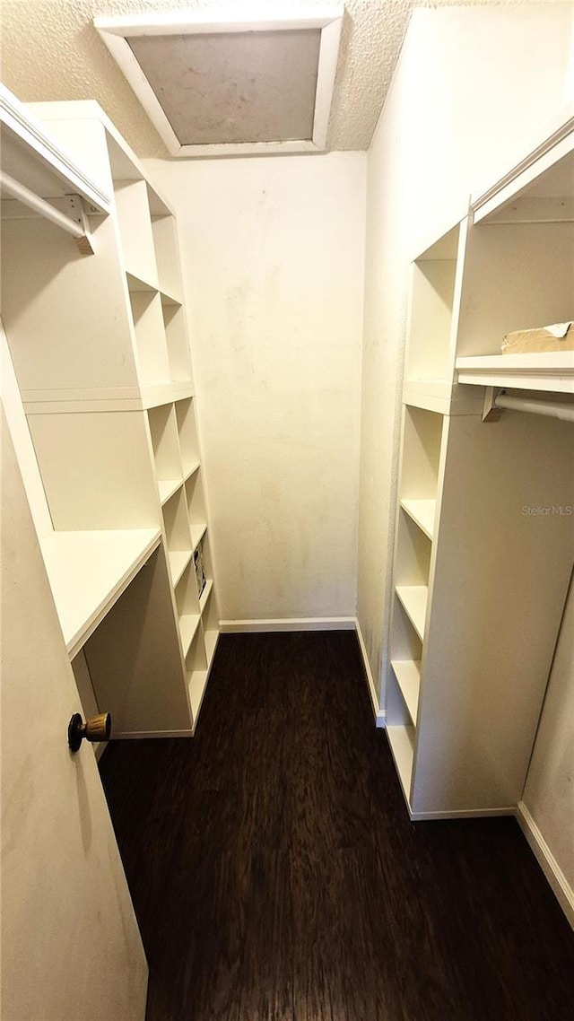 spacious closet with dark hardwood / wood-style floors