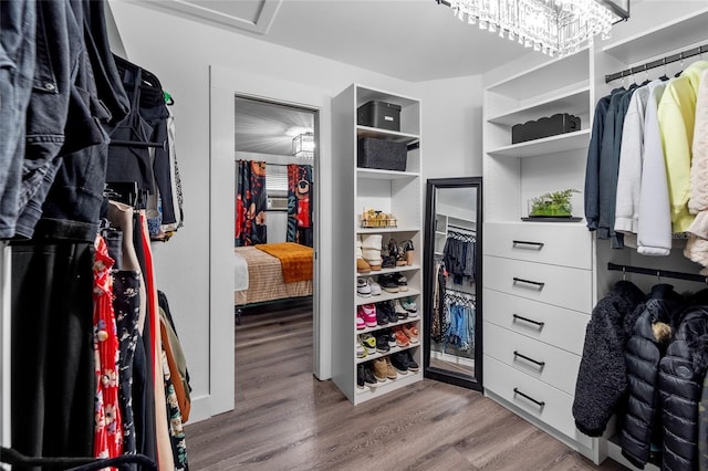 spacious closet with wood-type flooring