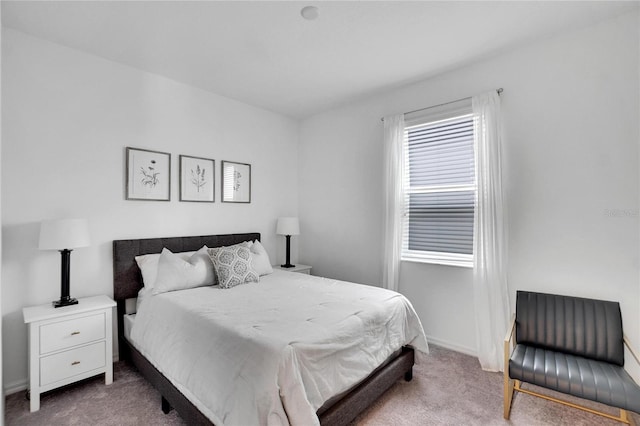 bedroom featuring carpet