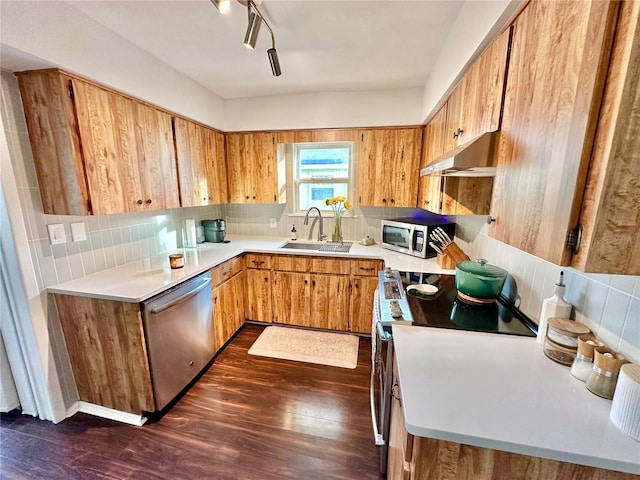 kitchen with dark hardwood / wood-style flooring, sink, decorative backsplash, and stainless steel appliances