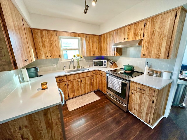 kitchen with appliances with stainless steel finishes, backsplash, sink, exhaust hood, and dark hardwood / wood-style floors