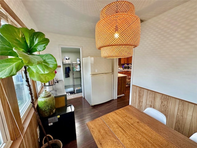 dining room with wood walls and dark wood-type flooring