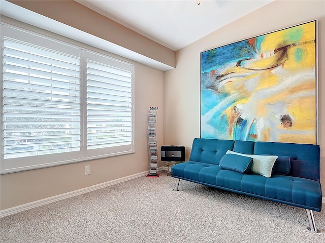 sitting room with carpet