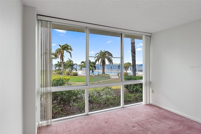 spare room with expansive windows, a water view, a textured ceiling, and light carpet