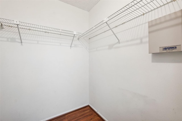 spacious closet featuring dark hardwood / wood-style flooring