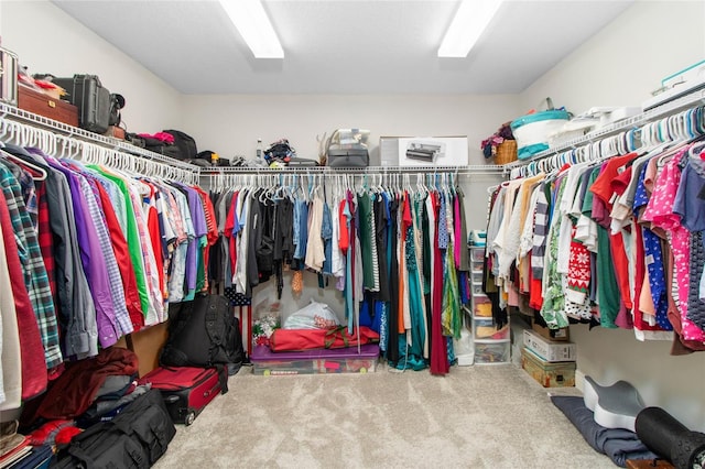 spacious closet with carpet floors