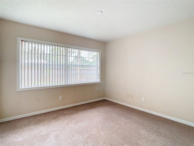 unfurnished room with carpet and a textured ceiling