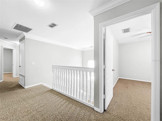 hallway featuring carpet flooring and crown molding