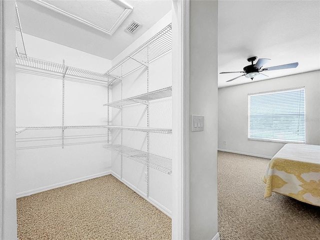 spacious closet featuring carpet floors and ceiling fan